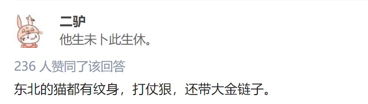 听说四川的猫会吃辣全国各地的铲屎官们坐不住啦